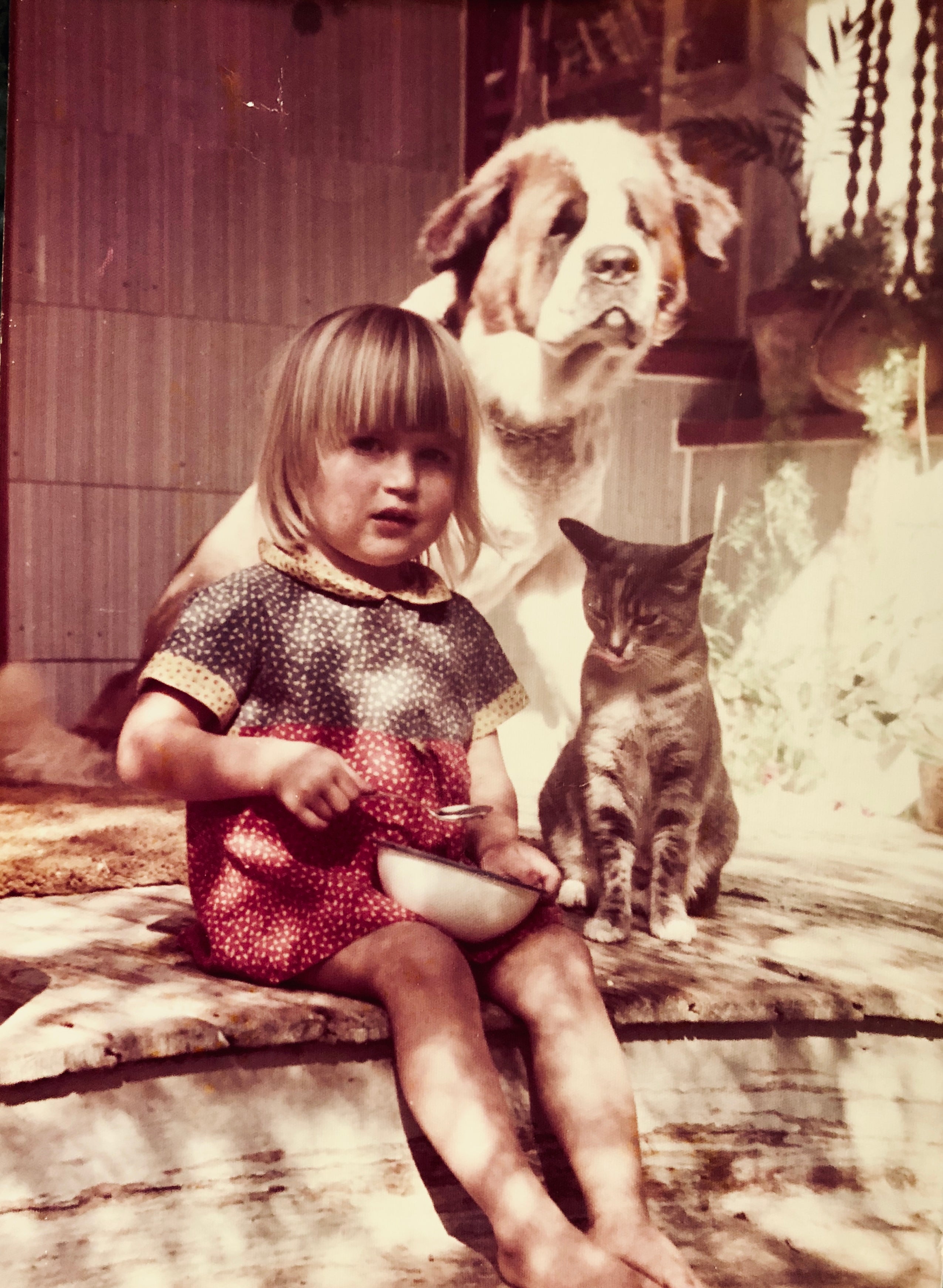 When “Medical Freedom” Meets Measles: A Dermatologic Surgeon’s Perspective on Protecting Our Children